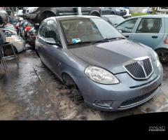 RICAMBI LANCIA YPSILON (TE)