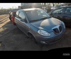 RICAMBI LANCIA YPSILON (TE)