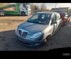 RICAMBI LANCIA YPSILON (TE)