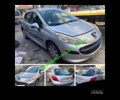 Ricambi usati Peugeot 207 anno 2006 Fi - 1