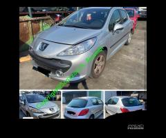 Ricambi usati Peugeot 207 anno 2007 Fi - 1