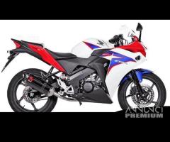 Scarico Marmitta Terminale Honda CBR 150 R