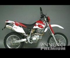 Scarico Marmitta Terminale Yamaha XT TT 600 R E