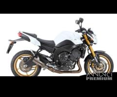 Scarico Marmitta Terminale Yamaha FZ8 - 13