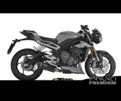 Scarico Marmitta Triumph Street Triple 675 - 14