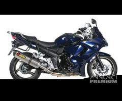 Scarico Marmitta Terminale Suzuki GSX 1250 FA