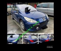 Ricambi usati Peugeot 307 anno 2006 Fi - 1