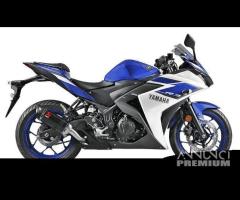 Scarico Marmitta Terminale Yamaha YZF-R3