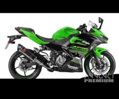 Scarico Marmitta Terminale Kawasaki Ninja 400 - 2