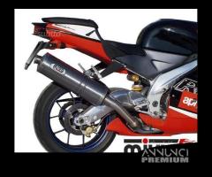 Scarico Marmitta Terminale Aprilia RSV 1000 - 13