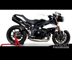 Scarico Marmitta Triumph Speed Triple 1050 - 14