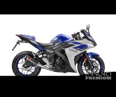 Scarico Marmitta Terminale Yamaha YZF-R 25