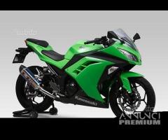 Scarico Marmitta Terminale Kawasaki Ninja 300 - 9