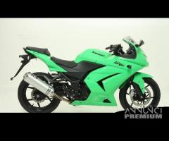 Scarico Marmitta Terminale Kawasaki ZX 250 R