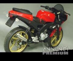 Scarico Marmitta Terminale Aprilia Tuono 50