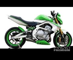 Scarico Marmitta Terminale Kawasaki ER 6N - 10