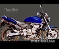 Scarico Marmitta Terminale Honda Hornet 600 - 14