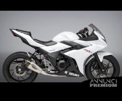 Scarico Marmitta Terminale Suzuki GSX 250 R