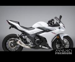 Scarico Marmitta Terminale Suzuki GSX 250 R