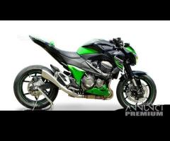 Scarico Marmitta Terminale Kawasaki Z 800 - 6