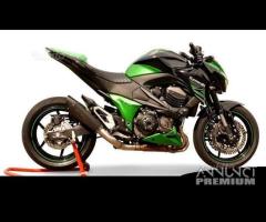 Scarico Marmitta Terminale Kawasaki Z 800 - 9