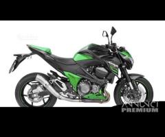 Scarico Marmitta Terminale Kawasaki Z 800 - 11