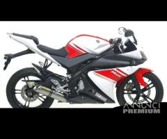 Scarico Marmitta Terminale Yamaha YZF-R 125