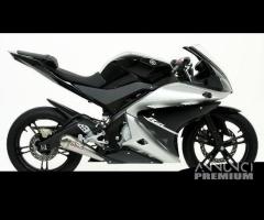 Scarico Marmitta Terminale Yamaha YZF-R 125 - 6