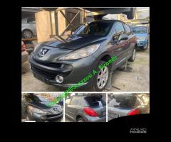 Ricambi usati Peugeot 207 anno 2007 Fi - 1