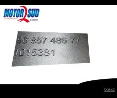 MODANATURA CRUSCOTTO CITROEN C3 2009-2014 - CON PR