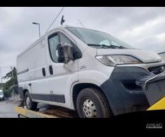 Ricambi Fiat Ducato coibentato anno 2016 - 4