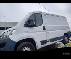 Ricambi Fiat Ducato coibentato anno 2016 - 6