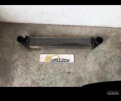 Intercooler mercedes classe b w245 180 cdi - 1