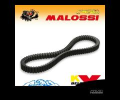 MALOSSI 6116697 CINGHIA DI TRASMISSIONE