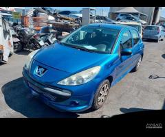 Ricambi Peugeot 206 anno 2010