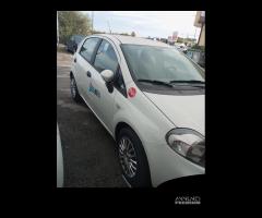 FIAT Punto 2014 Colore Bianco 326.487 Km (IVA espo