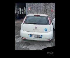 FIAT Punto 2014 Colore Bianco 326.487 Km (IVA espo