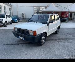 FIAT Panda 1ª serie 1100 i.e. cat Young