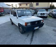 FIAT Panda 1ª serie 1100 i.e. cat Young