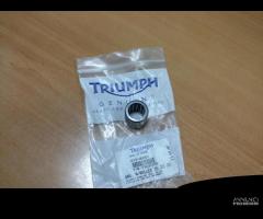 T3900155 Cuscinetto Triumph Sospensione Sprint ST