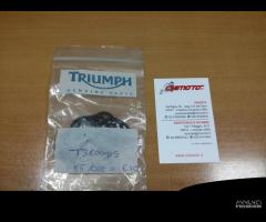 T3600915 O-ring 18x3 Triumph tubo Testa