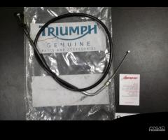 T2043488 Cavo Acceleratore Triumph originale - 1