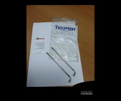 Raggio ruota posteriore triumph T2014366