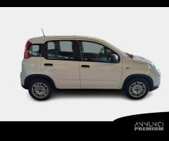 FIAT PANDA 1.0 FireFly 70cv S/S Hybrid 5 PORTE - 1