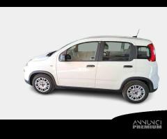 FIAT PANDA 1.0 FireFly 70cv S/S Hybrid 5 PORTE - 2