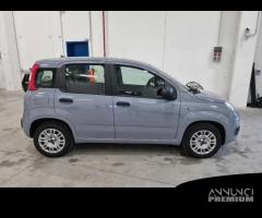 FIAT PANDA 1.2 69cv S/S E6d-Temp Easy 5 PORTE