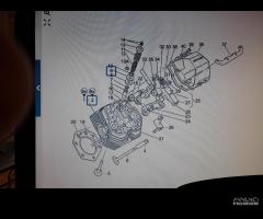 GU01022230 testa cilindro sinistra guzzi V11