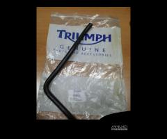 T2101610 Tubo Radiatore Triumph motore 1050