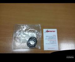 T2020505 Kit Revisione Pinza Triumph 2 Pistoncini