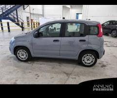 FIAT PANDA 1.2 69cv S/S E6d-Temp Easy 5 PORTE